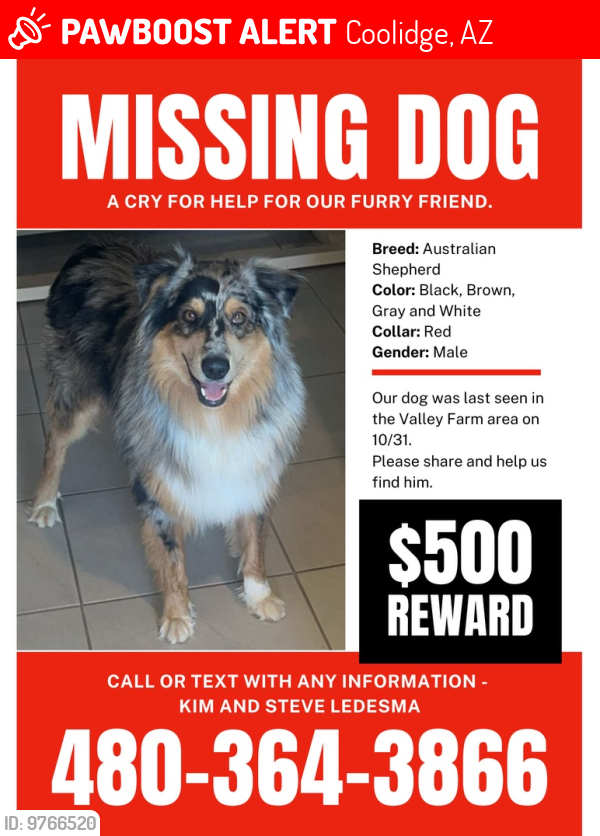 Lost Male Dog last seen Coolidge , Coolidge, AZ 85128