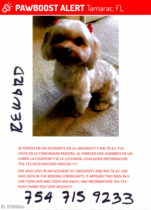 Lost Female Dog last seen University De and Commercial Blvd, Tamarac, FL 33321