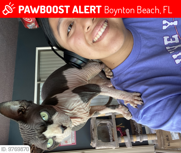 Lost Female Cat last seen Longmeadow cir, off of Lawrence road , Boynton Beach, FL 33436