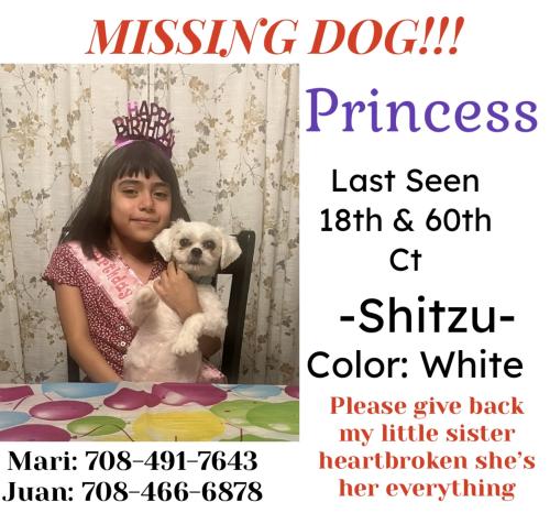 Lost Female Dog last seen Near s 60th ct , Cicero, IL 60804