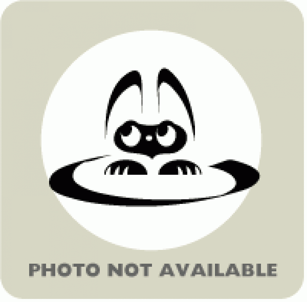 Shelter Stray Unknown Cat last seen Biloxi, MS , Gulfport, MS 39501
