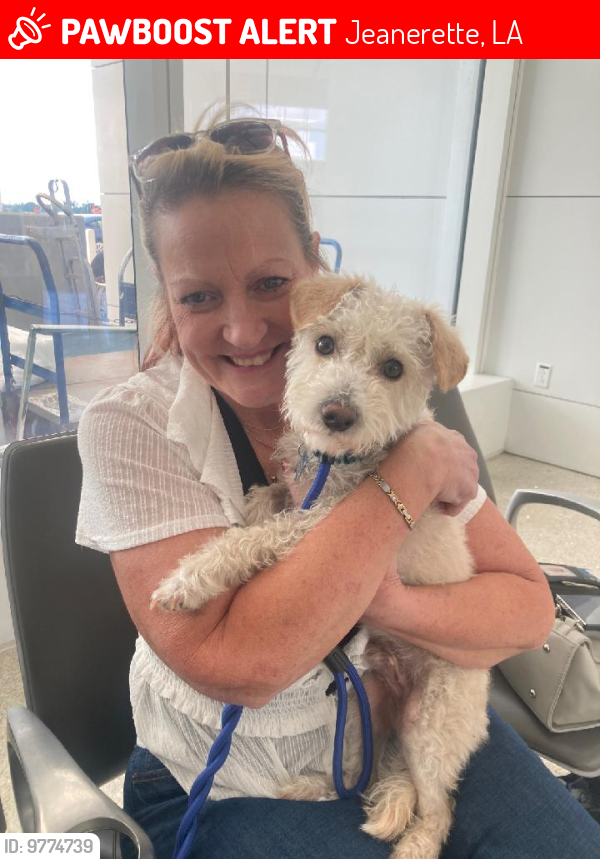 Jeanerette, LA Lost Male Dog, Binkie Is Missing PawBoost