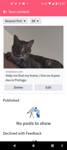 Lost Male Cat last seen Aspen Ave / Willowdale, Portage, IN 46368
