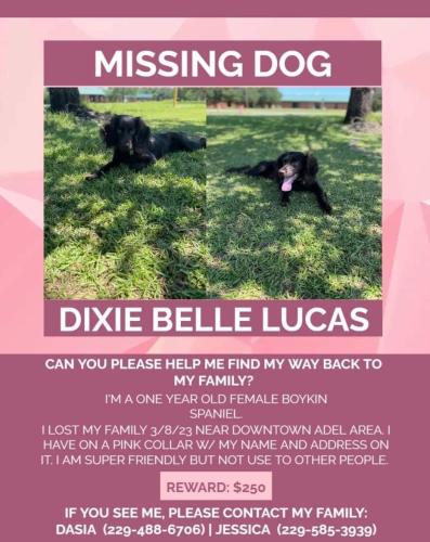Lost Female Dog last seen Near south Hutchison avenue , Adel, GA 31620