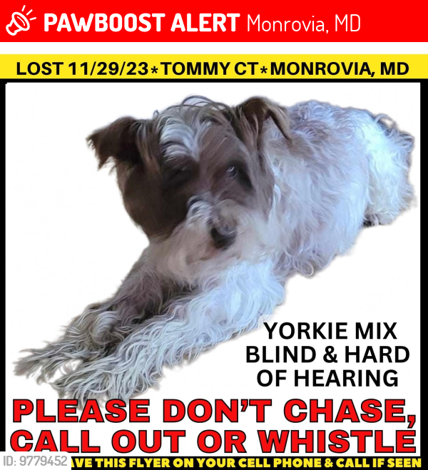 Lost Male Dog last seen Near tommy court Monrovia MD 21770, Monrovia, MD 21770