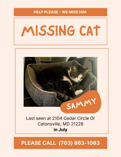 Lost Male Cat last seen Cedar circle Dr. , Catonsville, MD 21228