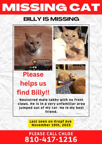 Lost Male Cat last seen Dixie Highway and Oakhill Rd, Springfield Township, MI 48350