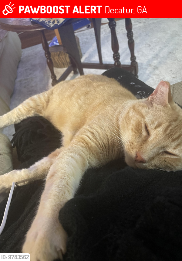 Lost Male Cat last seen Balfour and Brockton Place , Decatur, GA 30032