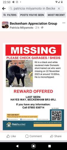 Lost Male Cat last seen Wickham Way, Greater London, England BR3