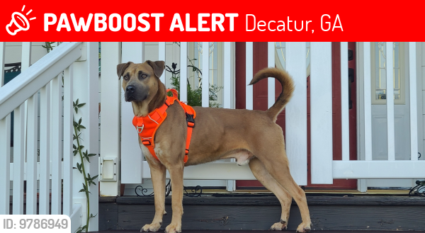 Lost Male Dog last seen Wesley chapel and boring rd, Decatur, GA 30034