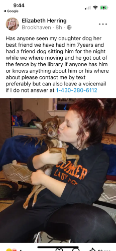 Lost Male Dog last seen Near park street, Commerce, TX 75428