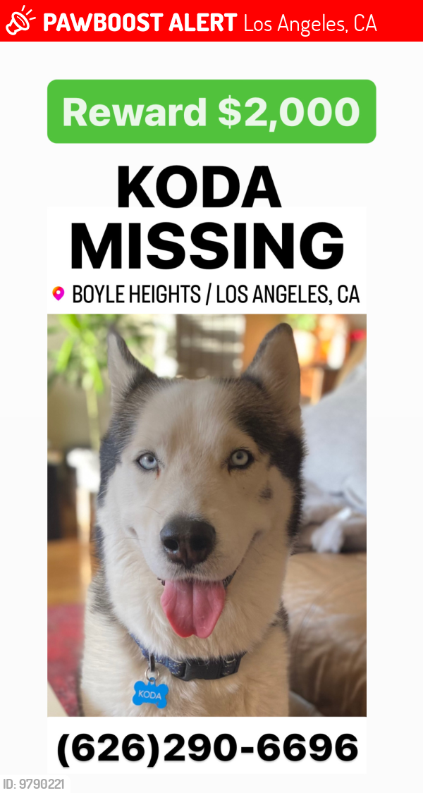 Lost Male Dog last seen Evergreen Cemetery , Los Angeles, CA 90033