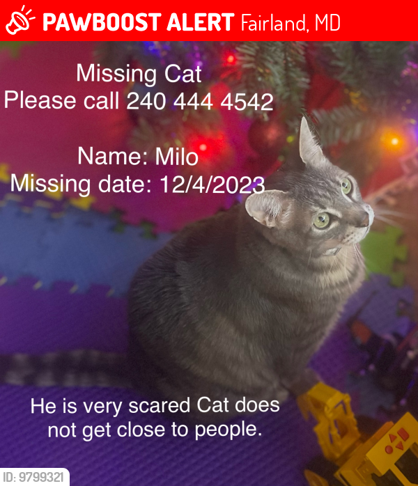 Lost Male Cat last seen Roby rd, Fairland, MD 20904