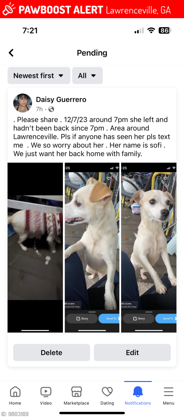 Lost Female Dog last seen Richmond way Lawrenceville , Lawrenceville, GA 30043