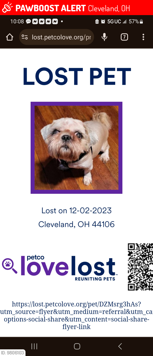 Lost Male Dog last seen East 111th Superior Avenue, Cleveland, OH 44108