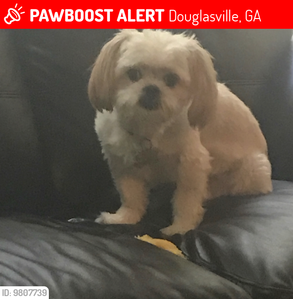 Lost Male Dog last seen Annewakee, Douglasville, GA 30135