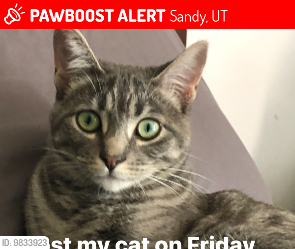 Lost Female Cat last seen Near Cobblegate Dr, Rockledge Quarry, Sandy, UT 84094