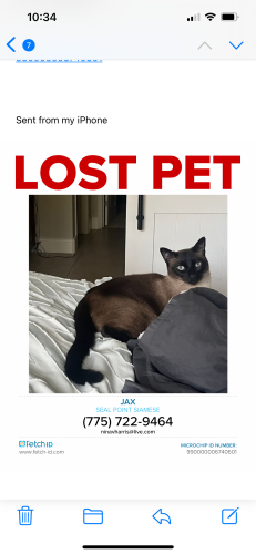 Lost Male Cat last seen Mist hill way and Bob Doyle , Roseville, CA 95747