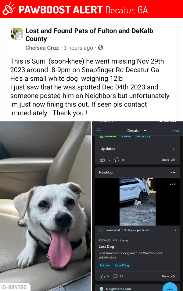 Decatur, GA Lost Male Dog, SUNi Is Missing | PawBoost