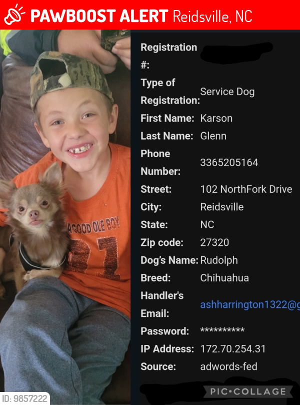 Lost Male Dog last seen Near NorthFork Drive Reidsville NC , Reidsville, NC 27320