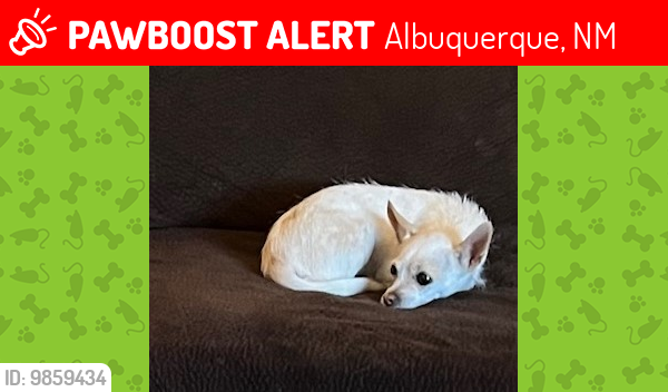 Lost Female Dog last seen Jaime Rd Dr SW and Celeste Rd SW off of Isleta Blvd SW, Albuquerque, NM 87105