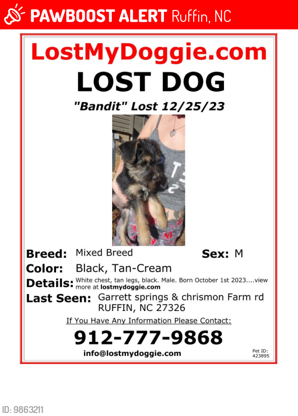 Lost Male Dog last seen Unknown, Jacksonville, NC 28540