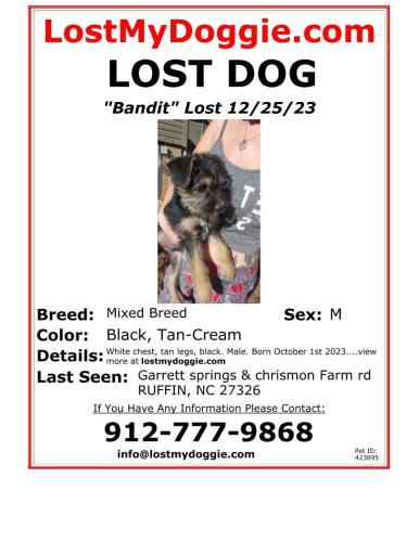 Lost Male Dog last seen Chrismon Farm Rd , Ruffin, NC 27326