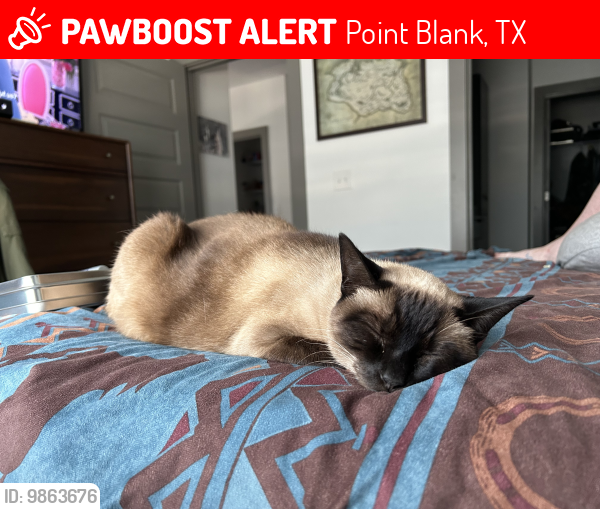 Lost Female Cat last seen Hidden Coves Road near Holliday villagers , Point Blank, TX 77364