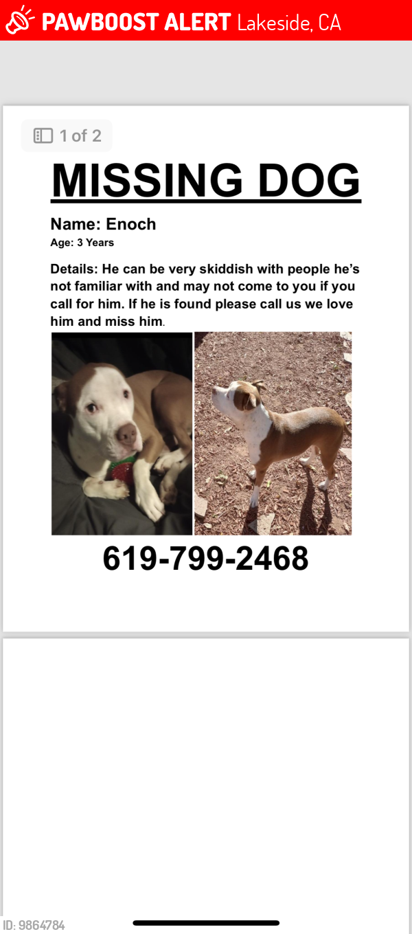 Deceased Male Dog in Lakeside, CA 92040 (ID 69864784) PawBoost