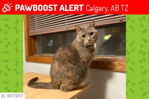 Lost Female Cat last seen The s on McKenzie drive southeast , Calgary, AB T2Z