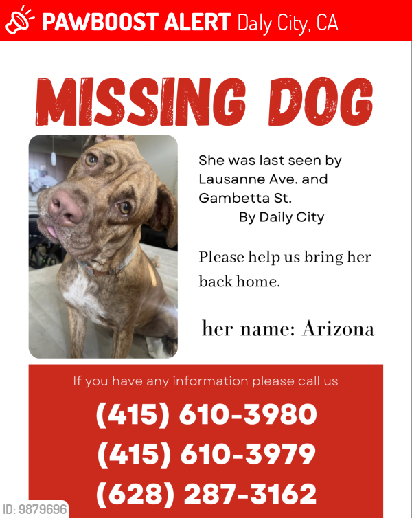 Lost Female Dog last seen Crocker park , mission and geneva, Daly City, CA 94014