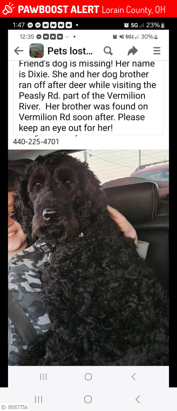 Lost Female Dog last seen Vermilion River Meteoparks, Lorain County, OH 44001