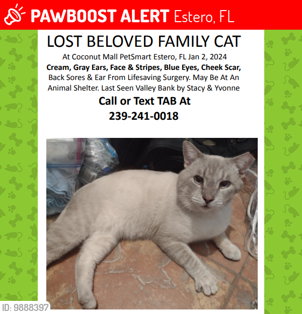 Lost Male Cat last seen Near Fashion Dr, Estero, FL 33928 PetSmart, Estero, FL 33928