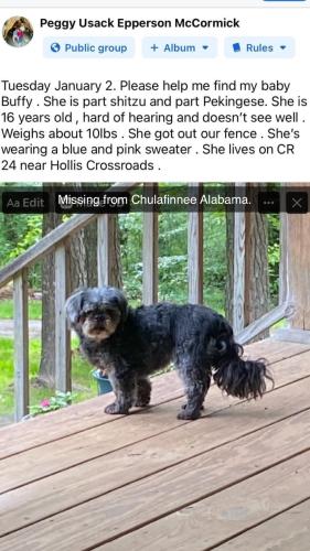 Lost Female Dog last seen Hollis Crossroads, Chulafinnee, AL 36264