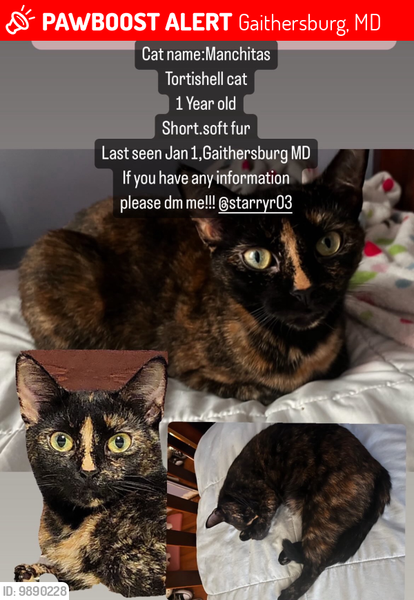 Lost Female Cat last seen Hunters woods local park, Gaithersburg, MD 20879