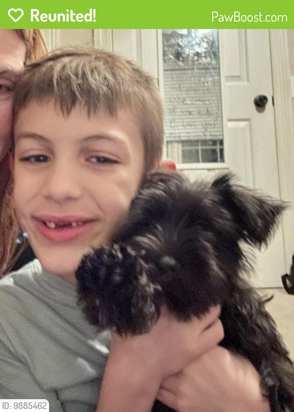 Reunited Female Dog in Springfield, MO 65807 (ID 9885462) PawBoost