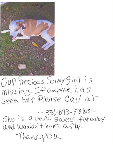 Lost Female Dog last seen Highway 158 and 150, Reidsville, NC 27320