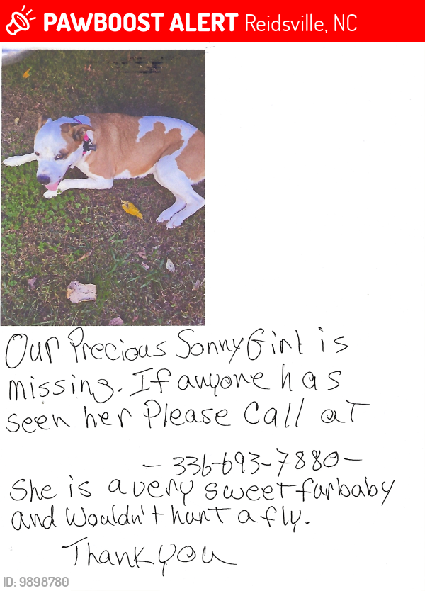 Lost Female Dog last seen Highway 158 and 150, Reidsville, NC 27320
