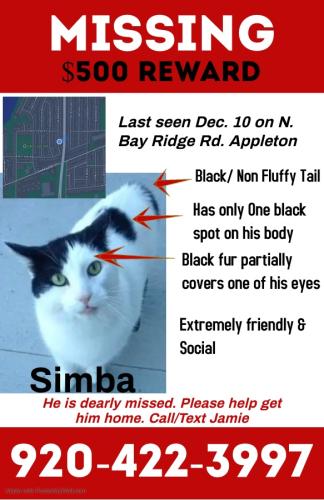 Lost Male Cat last seen Colony oaks park , Appleton, WI 54915