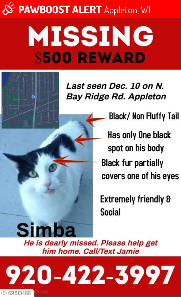Lost Male Cat last seen Colony oaks park , Appleton, WI 54915