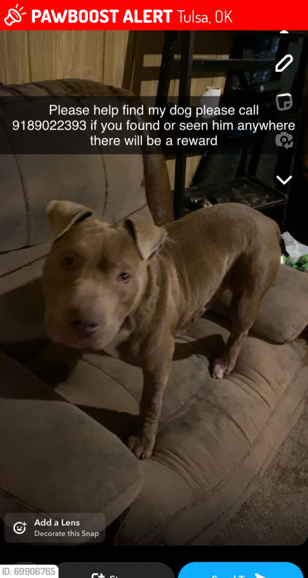 Tulsa, OK Lost Male Dog, Meko Is Missing | PawBoost