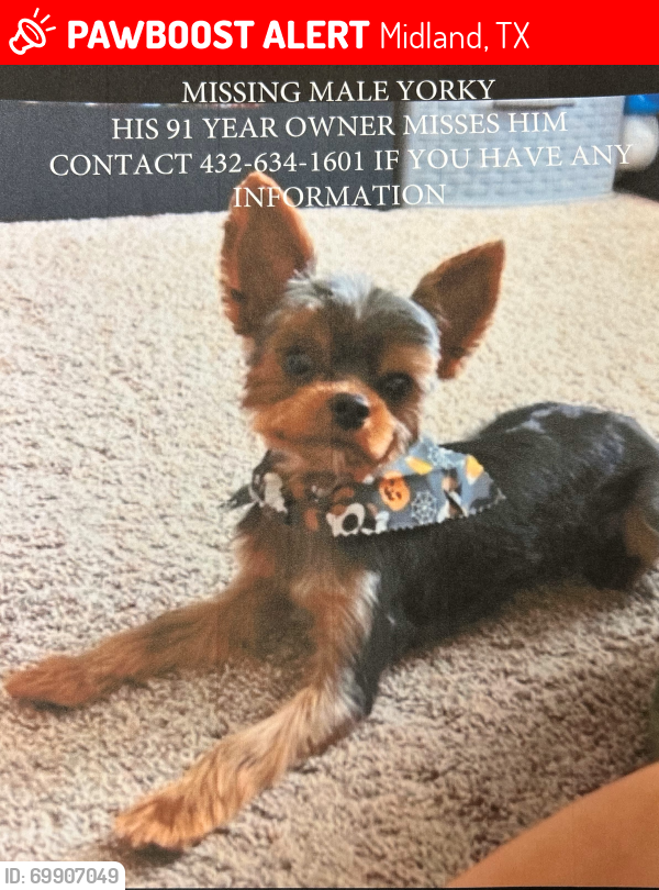 Lost Male Dog last seen ECounty Road 140, Midland, TX 79706