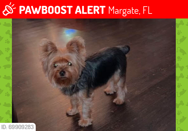Lost Female Dog last seen Margate Lakewood , Margate, FL 33063