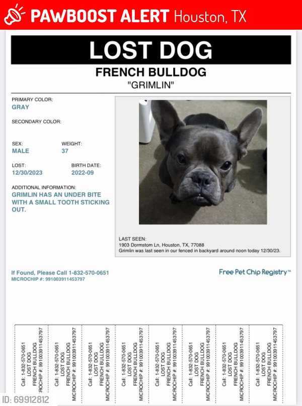 Lost Male Dog last seen Near Dormstom Ln, Houston, TX 77088