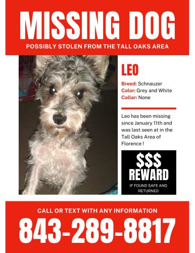 Lost Male Dog last seen Tall Oaks near the Glendale area, Florence, SC 29506