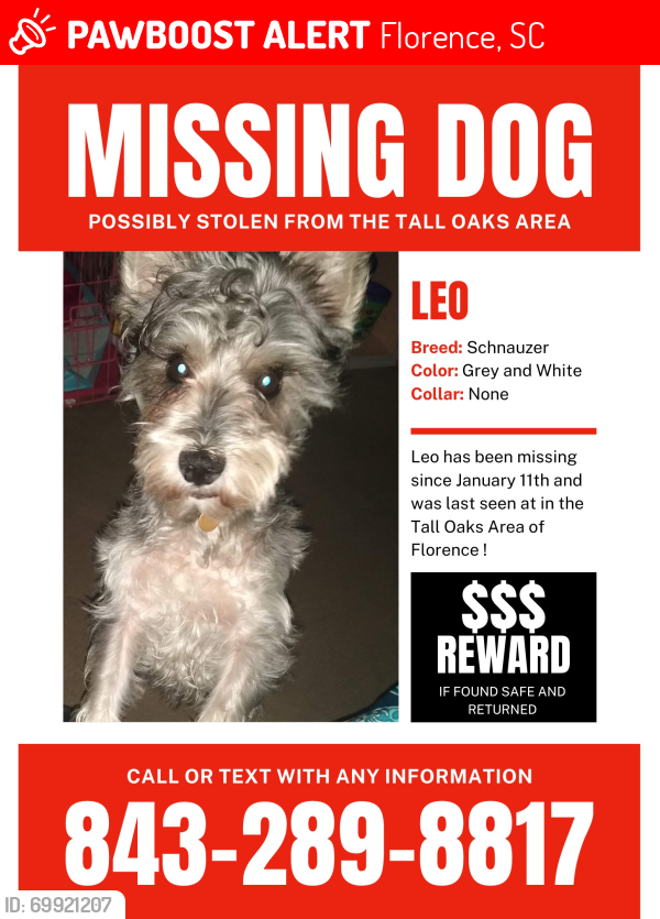Lost Male Dog last seen Tall Oaks near the Glendale area, Florence, SC 29506