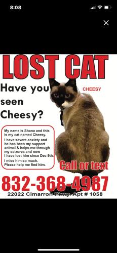 Lost Male Cat last seen Mason Rd and Cimarron Pkwy, Katy, TX 77450