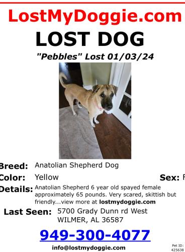 Lost Female Dog last seen Near Grady Dunn rd West , Wilmer, AL 36587