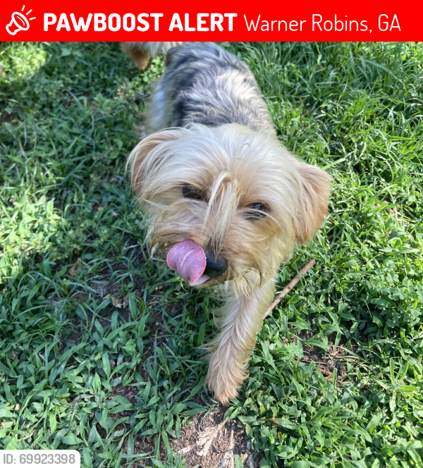 Lost Female Dog last seen Waston, Warner Robins, GA 31088