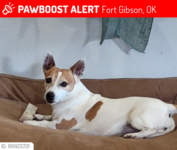 Lost Female Dog last seen Six mile rd , Fort Gibson, OK 74434